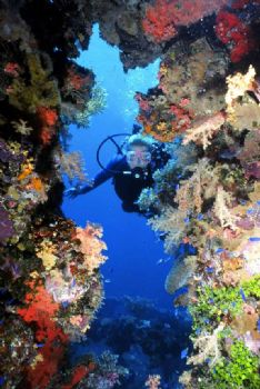 Diver enjoying the scenery in Truuk, Nikonos V w/15mmWA by Tom Huff 